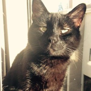 Meet your Posher, Mark